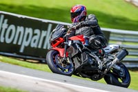 PJ-Motorsport-2019;anglesey;brands-hatch;cadwell-park;croft;donington-park;enduro-digital-images;event-digital-images;eventdigitalimages;mallory;no-limits;oulton-park;peter-wileman-photography;racing-digital-images;silverstone;snetterton;trackday-digital-images;trackday-photos;vmcc-banbury-run;welsh-2-day-enduro